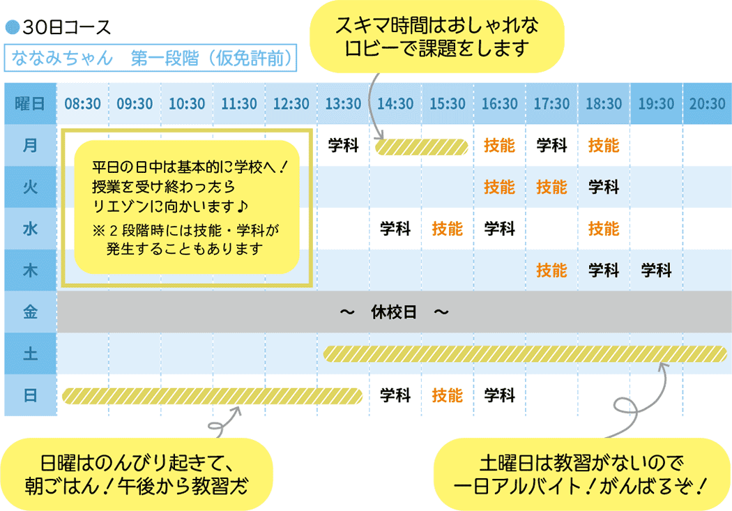 30日プランのスケジュールイメージ