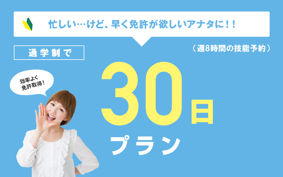 30日プラン（週8時間の技能予約）